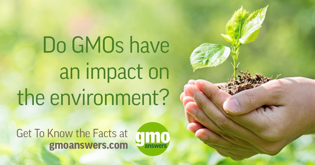 Effects Of Gmos On Our Environment